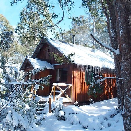 Villa Cradle Highlander Cradle Mountain Esterno foto