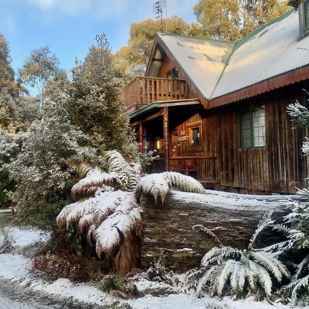 Villa Cradle Highlander Cradle Mountain Esterno foto
