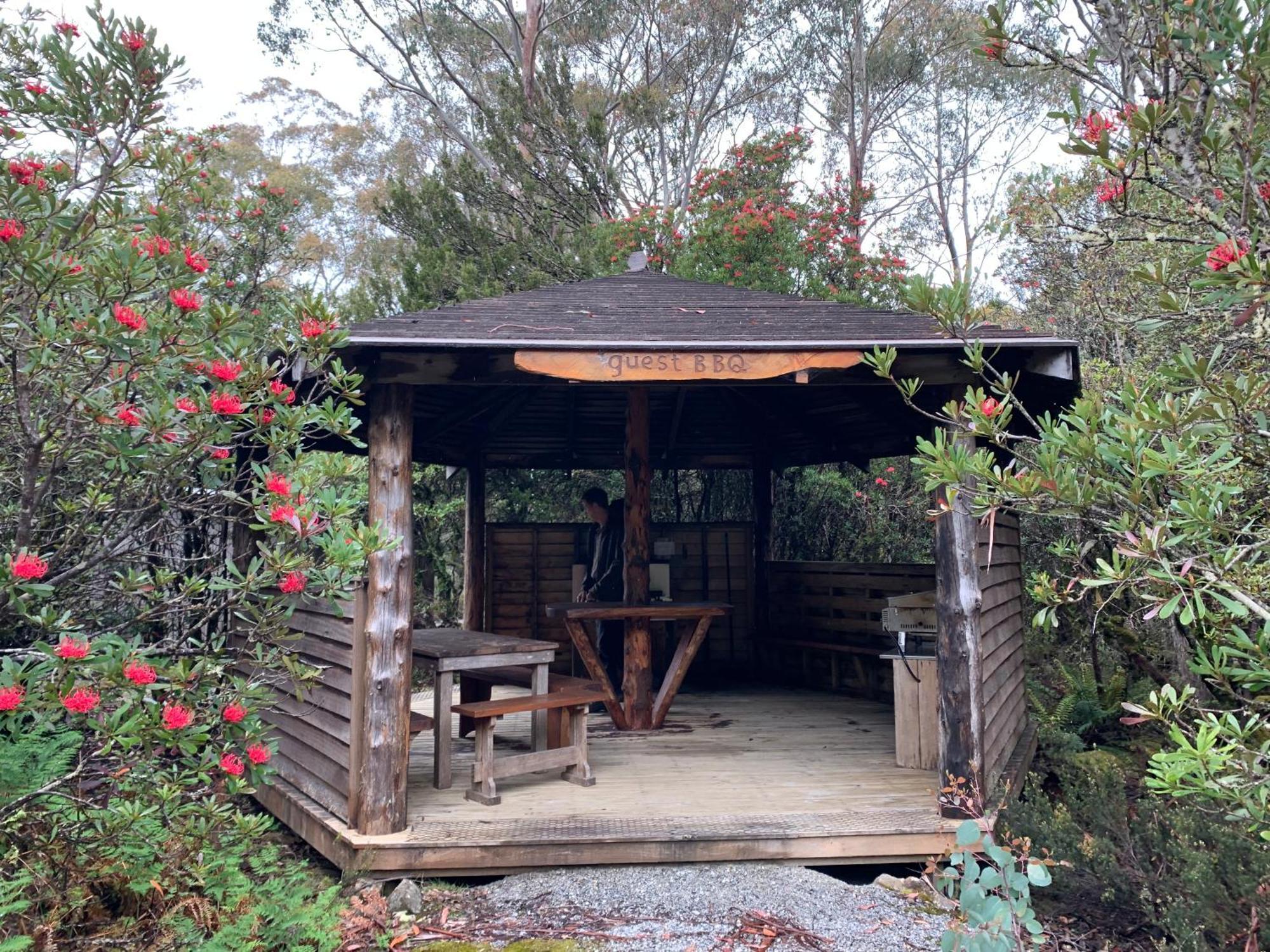 Villa Cradle Highlander Cradle Mountain Esterno foto