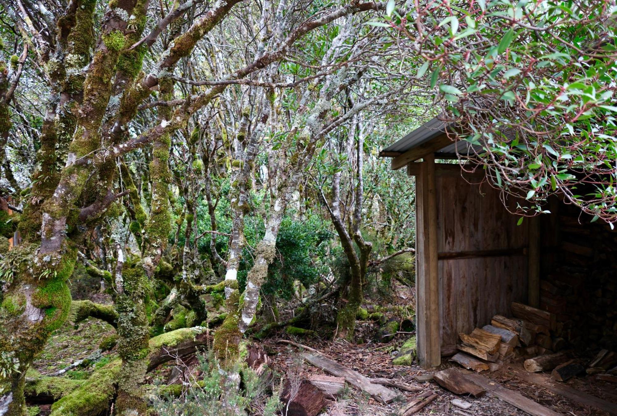 Villa Cradle Highlander Cradle Mountain Esterno foto