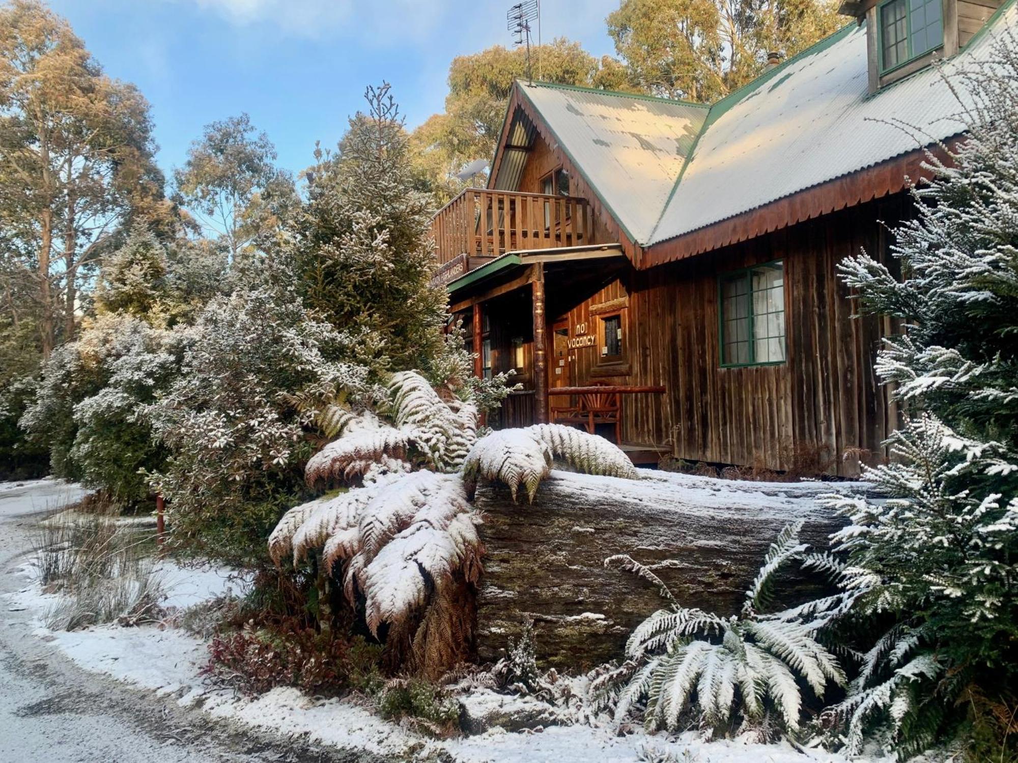Villa Cradle Highlander Cradle Mountain Esterno foto