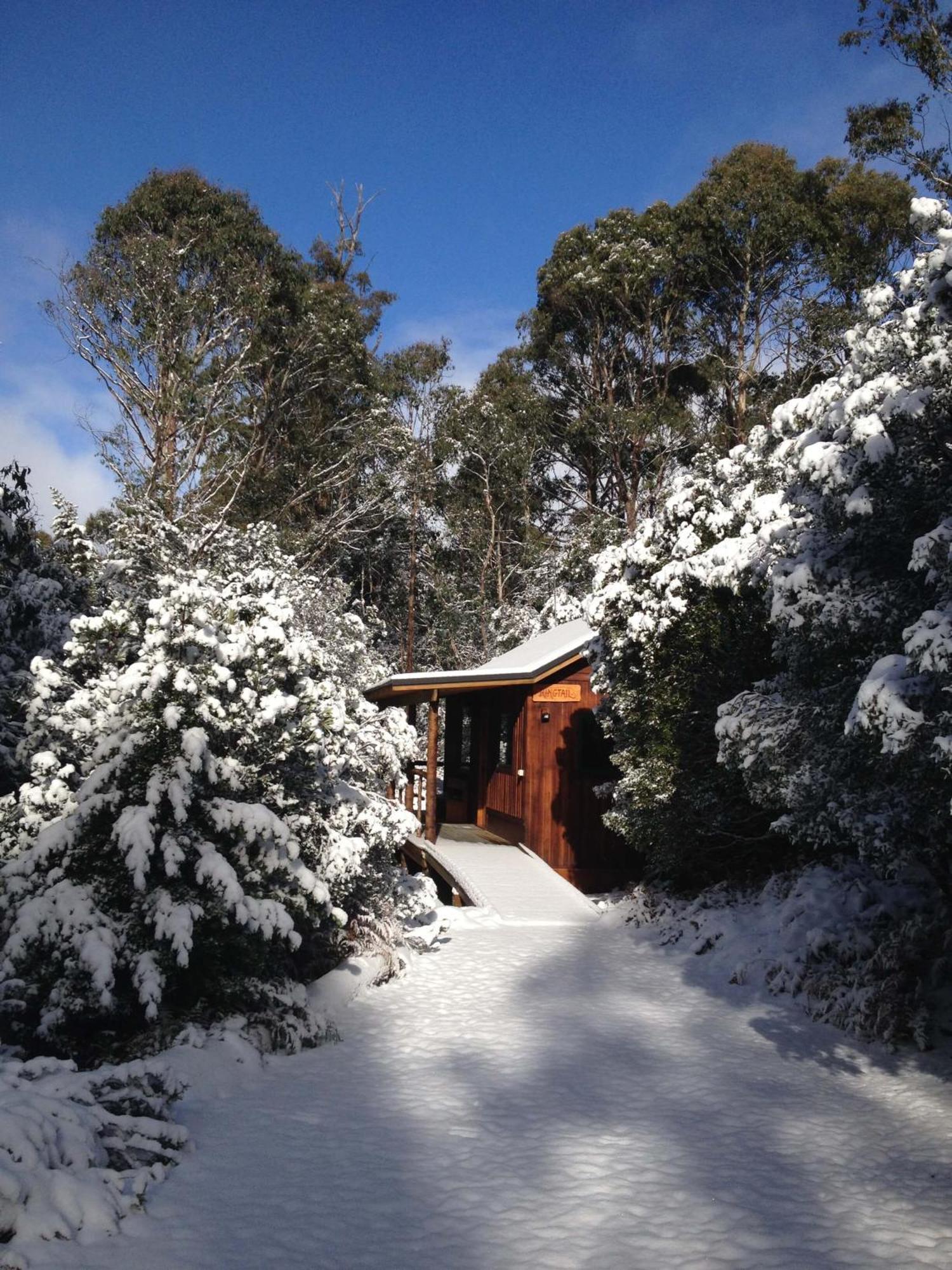 Villa Cradle Highlander Cradle Mountain Esterno foto