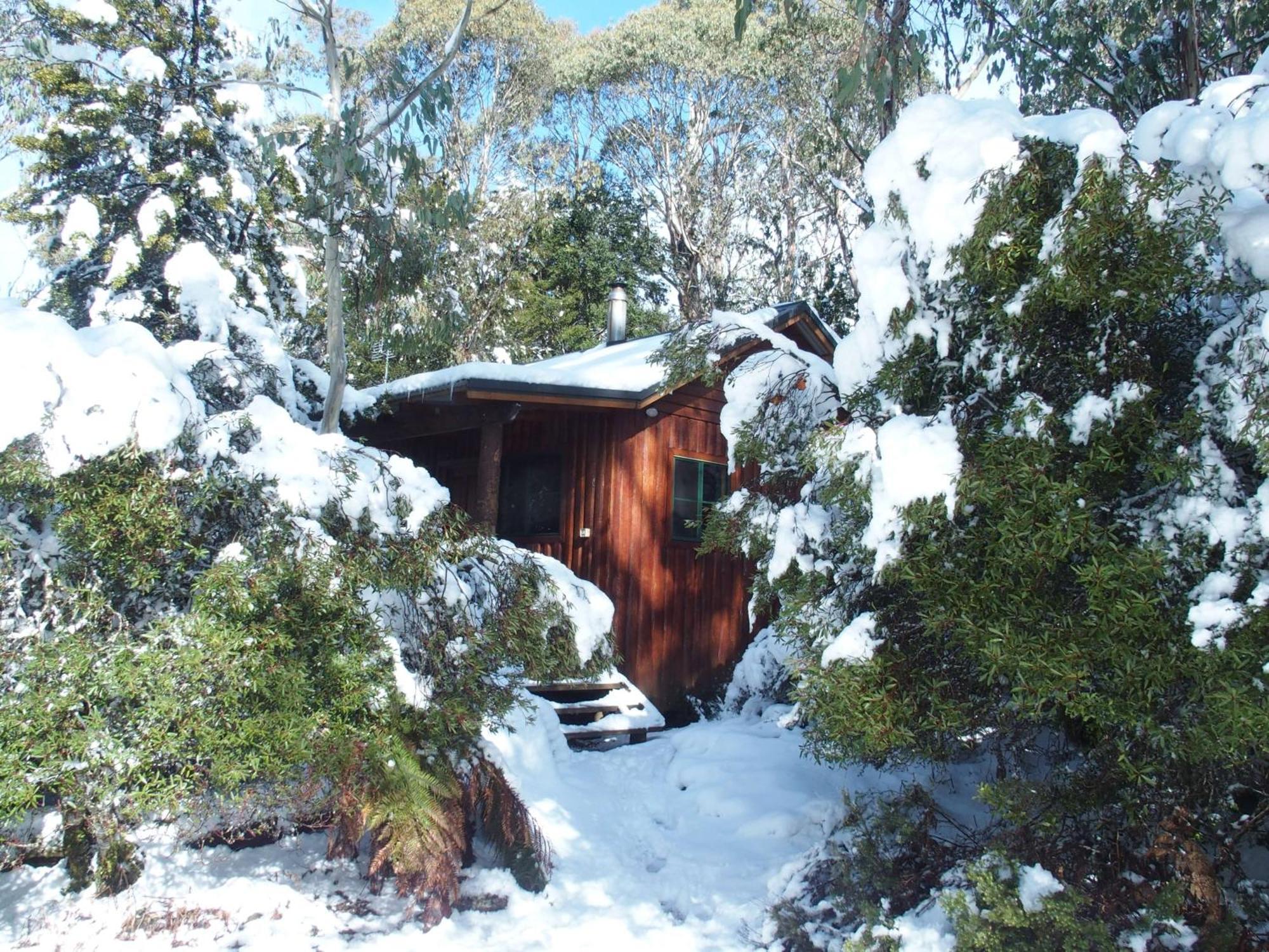 Villa Cradle Highlander Cradle Mountain Esterno foto