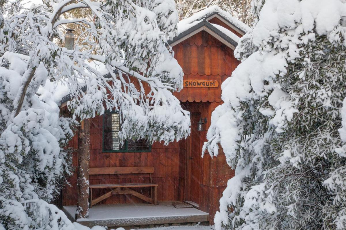 Villa Cradle Highlander Cradle Mountain Esterno foto