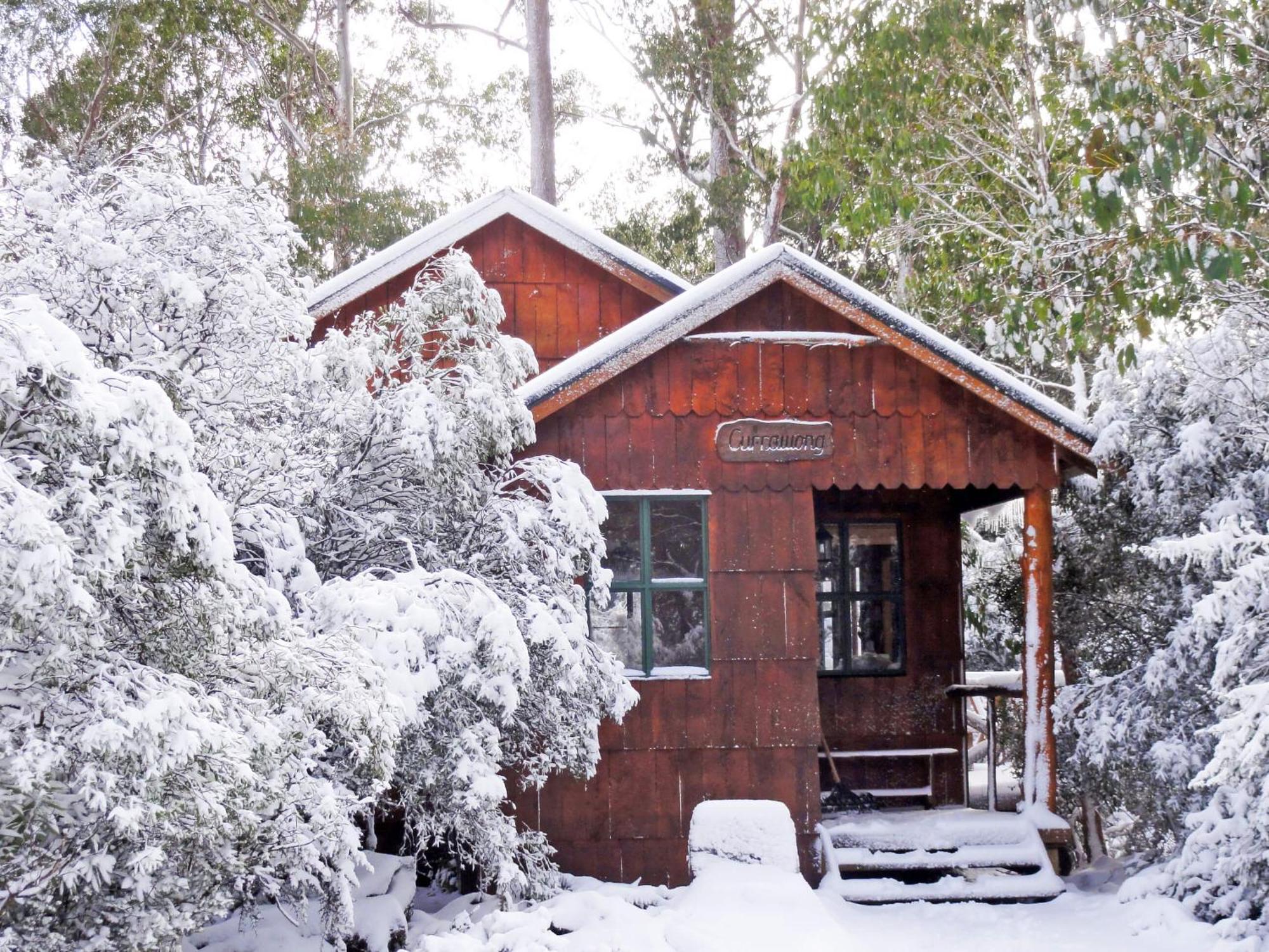 Villa Cradle Highlander Cradle Mountain Esterno foto